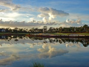 Calusa Pines Reflection